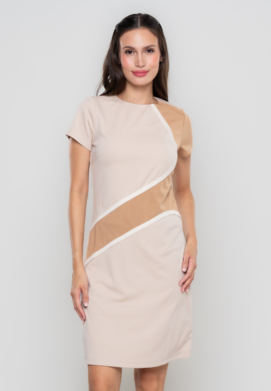 Andrea Color Blocking Shift Dress