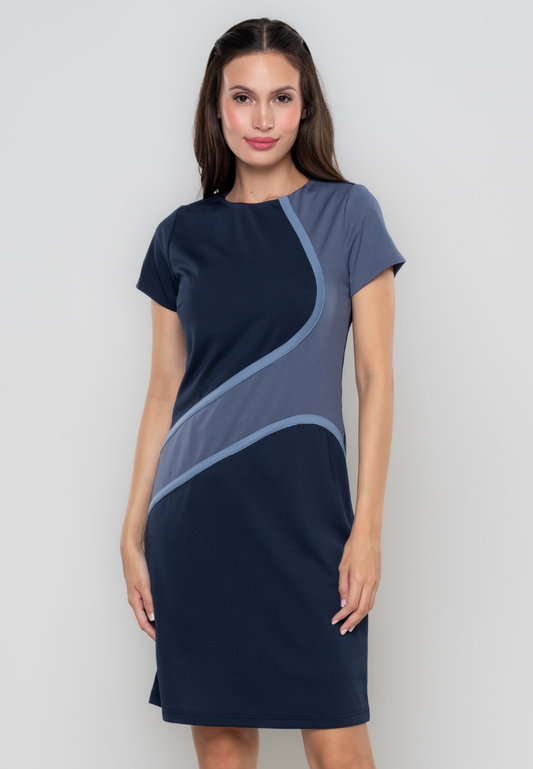 Andrea Color Blocking Shift Dress