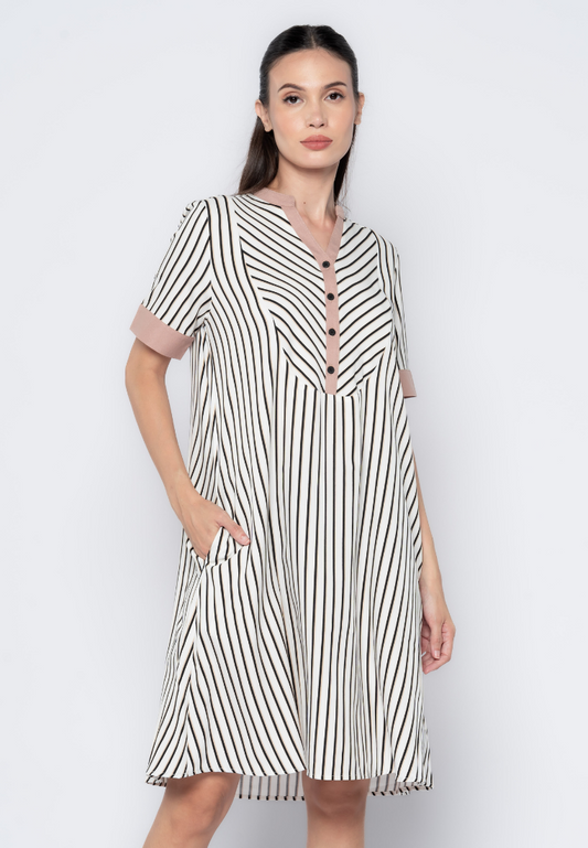 Stripes Semi-A Line Dress