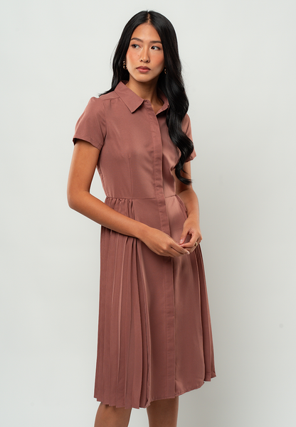Maia Pleated Collared A-line Dress
