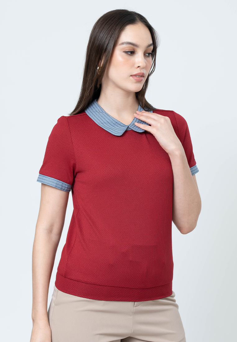 Kambria Knitted Top with Embroidered Collar and Contrast Sleeve Cuffs