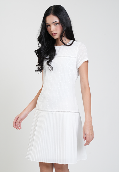 Skye Eyelet Pleated Drop Waist Dress