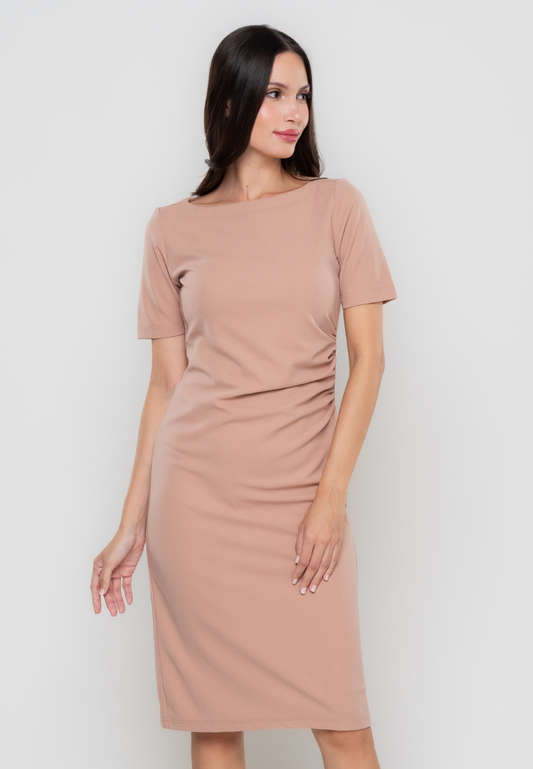 Danaia Side Ruched Pencil Cut Dress