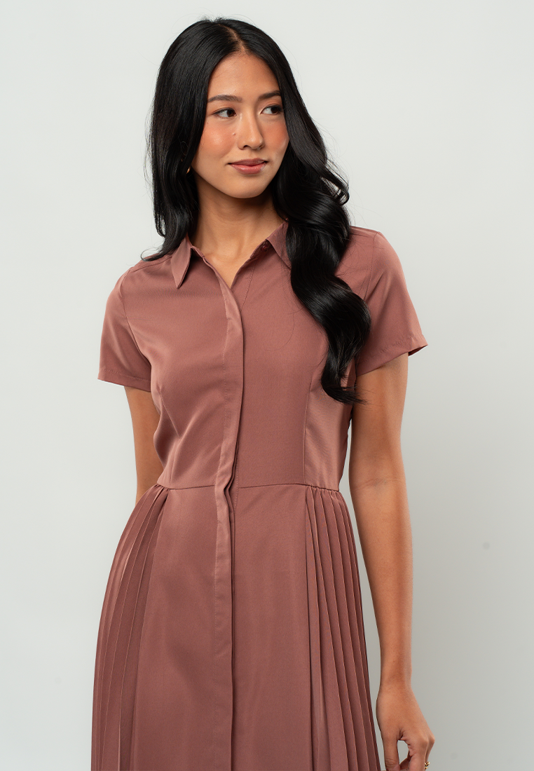 Maia Pleated Collared A-line Dress