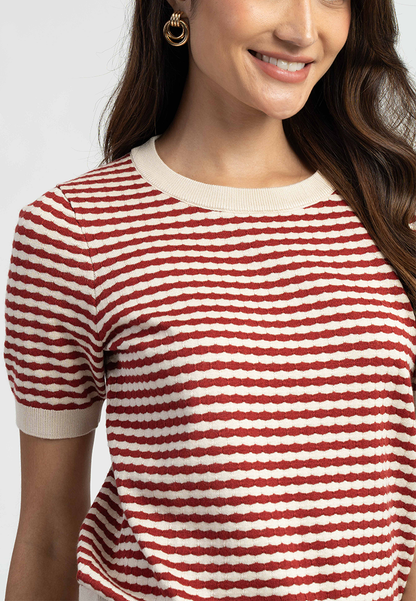 Zari Textured Stripe Knitted Short Sleeve Top