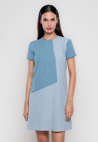 Eloise Color Blocking Shift Dress