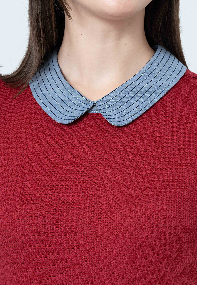 Kambria Knitted Top with Embroidered Collar and Contrast Sleeve Cuffs