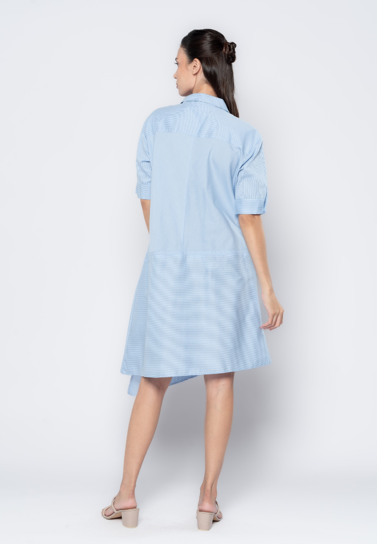 Asymmetrical Micro Print Shirt Dress