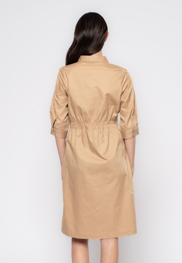 Sabrina Waist Gartered Shirt Dress