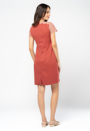 Plain Shift Dress with Lace Sleeve and Neckline