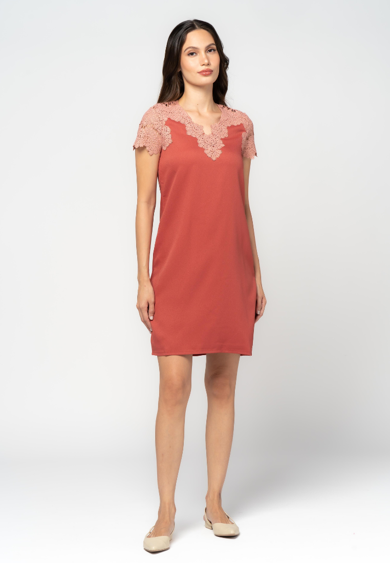 Plain Shift Dress with Lace Sleeve and Neckline